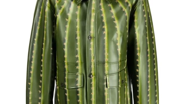 Desserto® - Highly Sustainable Cactus Leather