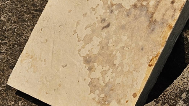 mycelium, mycelium composite, bio-composite, mushroom composite, fungi-based, bio-based, agricultural waste