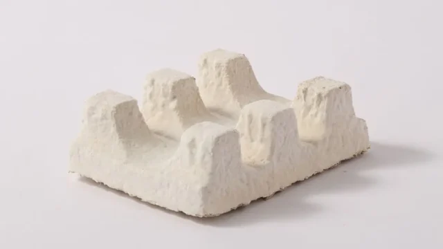 mushroom_packaging