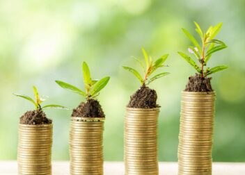 money under leafs to show green washing