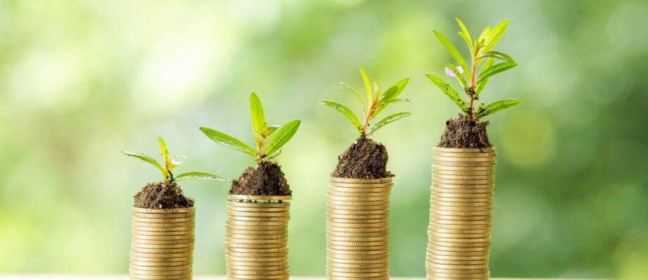 money under leafs to show green washing