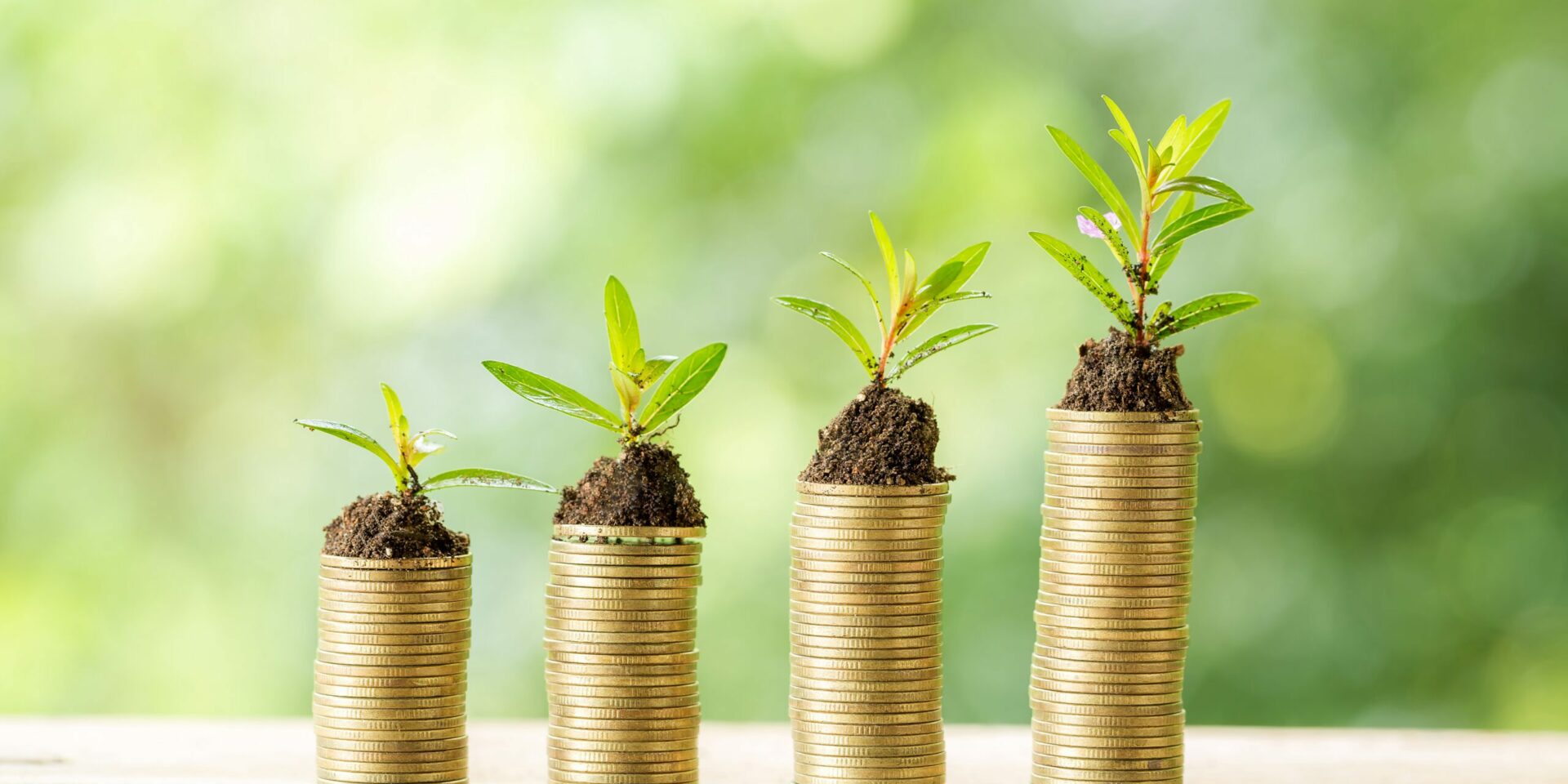 money under leafs to show green washing