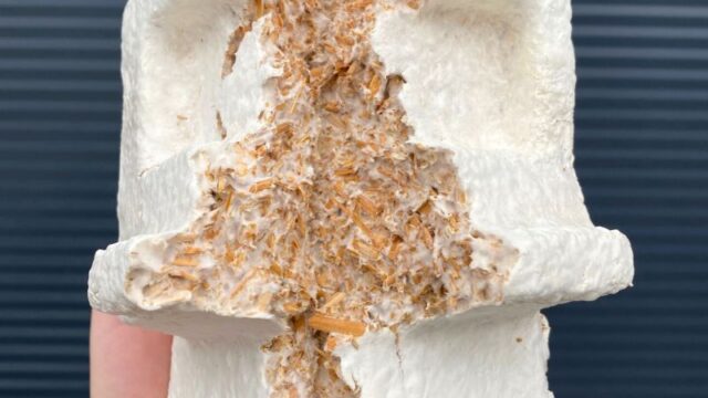 Eco-friendly luxury packaging made from mushroom mycelium bio-composite material by Grown.bio.featured on Biolisty