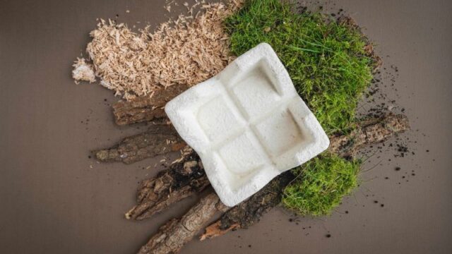 Eco-friendly luxury packaging made from mushroom mycelium bio-composite material by Grown.bio.featured on Biolisty