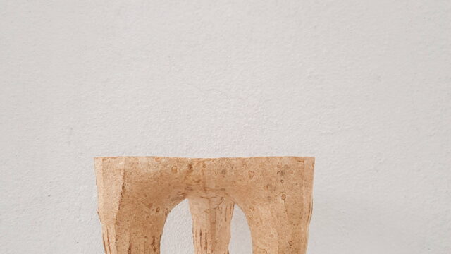Close-up texture of MYCL biodegradable solid mycelium composite material, 100% bio-based and home compostable.