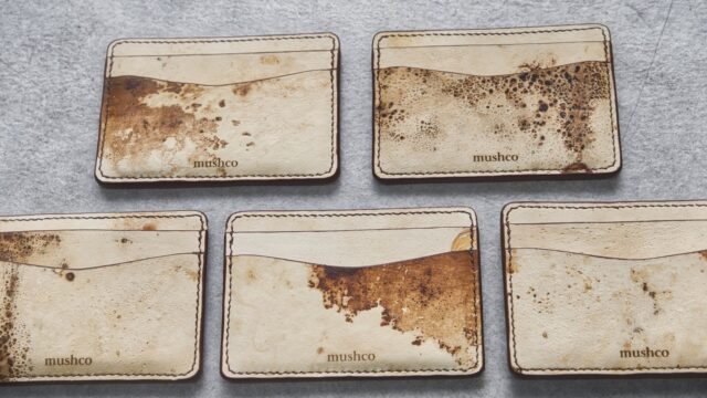 Mylea mushroom leather by MYCL alternative for sustainable luxury fashion