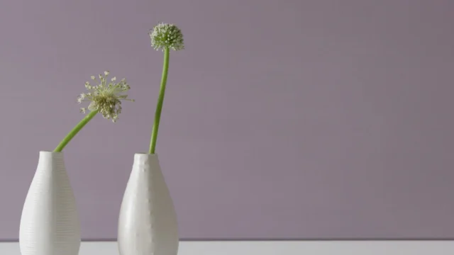 Auro – Plant-Based Eco Paints & Finishes