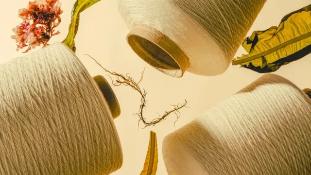 Keel Labs – Kelsun Seaweed-Based Fibers