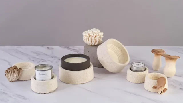 Magical Mushroom Company – Mycelium Protective Foams