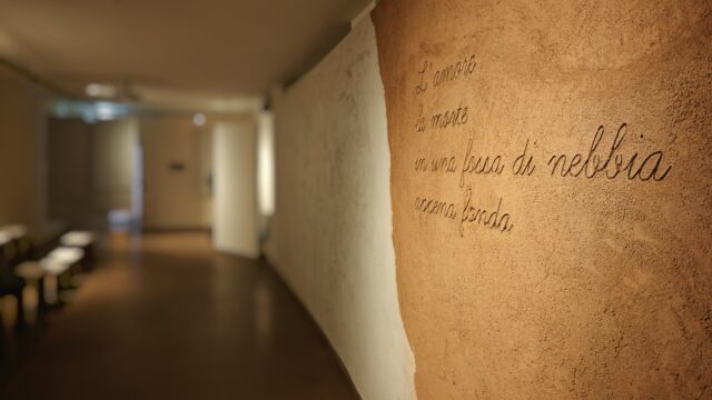 Interior wall installation using Claytec raw clay boards (Lehmbauplatten) and finished with natural clay plaster, replacing conventional gypsum drywall.