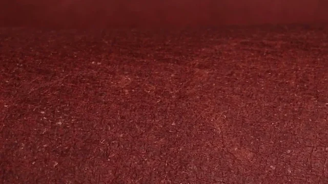 Flexible sheets of Malai bio-composite, created from coconut water-derived bacterial cellulose and natural fibers, showcasing an organic, leather-like texture.