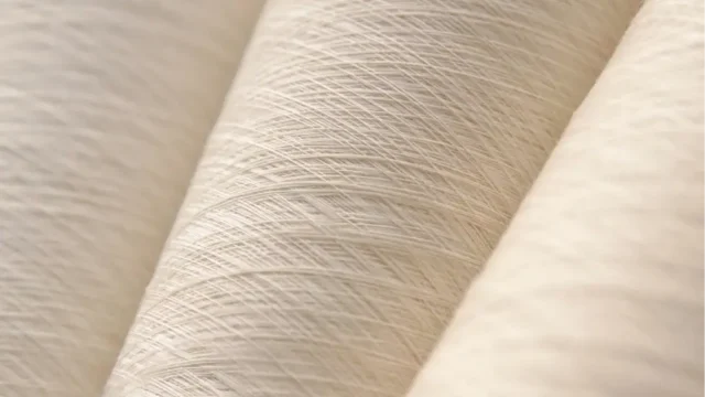 Brewed Protein™ fibers and yarns manufactured by Spiber Inc., produced through precision microbial fermentation rather than petrochemical or animal sources.